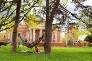 Person in a hammock reading a book and a person laying on a blanket on the ground studying.